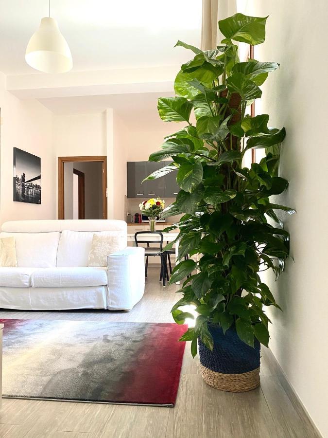 Delonix Regia Olbia Leilighet Eksteriør bilde